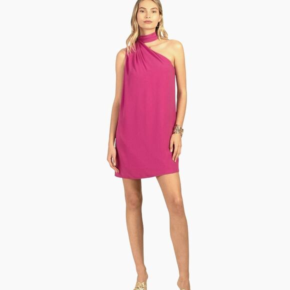 Trina Turk Dresses & Skirts - Trina Turk NIAN One Shoulder Cocktail Shift Dress | Sz 2, Phlox Pink *Flaw*